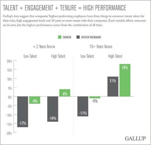 gallop talent engagment tenure graph